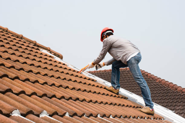 Best Emergency Roof Repair Services  in Elk Ridge, UT